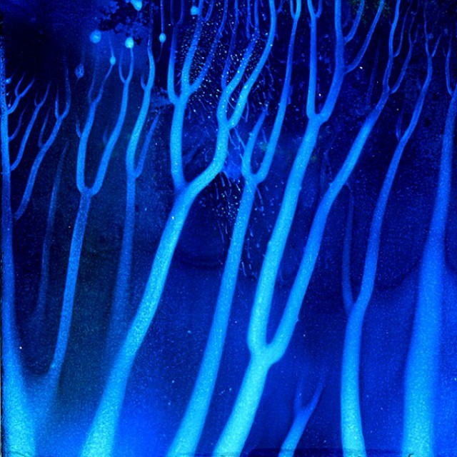 Zyklus Wurzel 2735, José S. Ocón