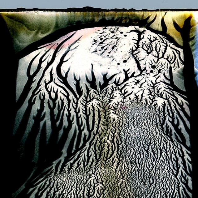 Zyklus Wurzel 2547, José S. Ocón