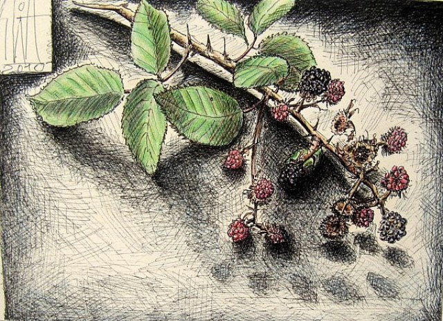 Brummelbeeren, Sven Wangemann