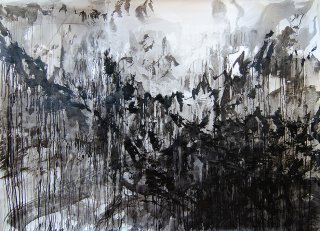 Die Wurzeln der Berge, Anita Voigt