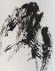 Winterbilder 1