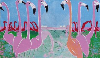 Flamingos auf Bonaire, Anita Voigt