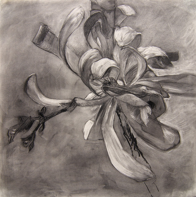Anita Voigt - Magnolia 7
