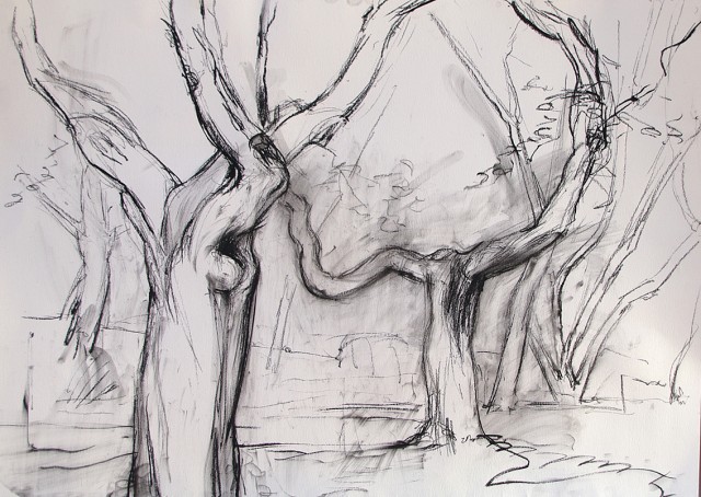 Anita Voigt - Alte Bäume von Ferrano