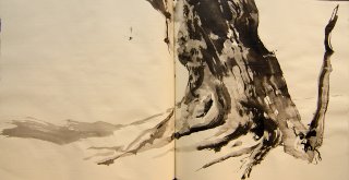 Im Semperwald, Anita Voigt