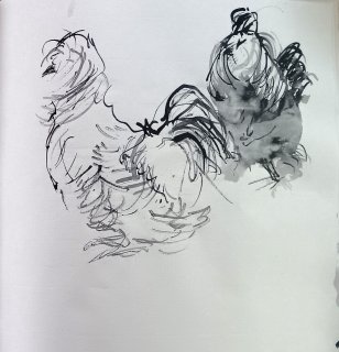 Sylvias Seidenhühner 2, Anita Voigt