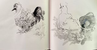 Sylvias Seidenhühner 7, Anita Voigt