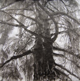 Unter der alten Wächterin, Anita Voigt