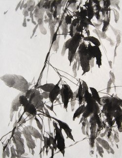 Aus dem Fenster, Herbst, Anita Voigt