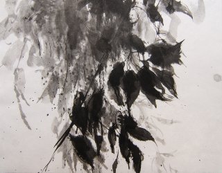 Am Fenster, Herbstlicht, Anita Voigt