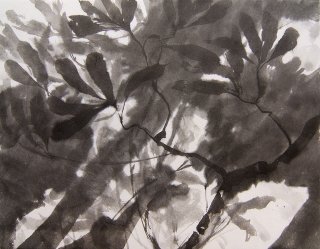 Herbsttage der Sternmagnolie, Anita Voigt