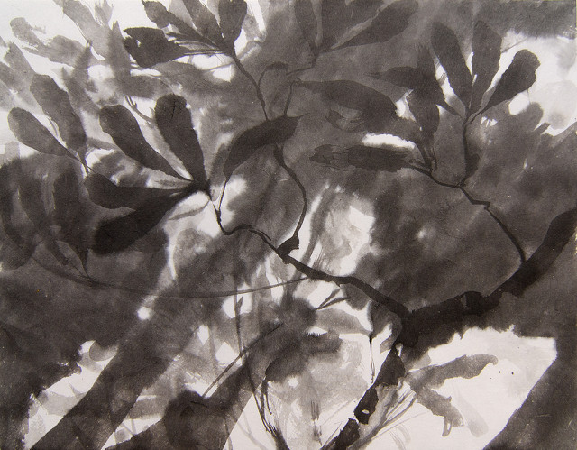 Anita Voigt: Herbsttage der Sternmagnolie