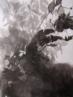 Vormittagssonne am Atelierfenster, Anita Voigt