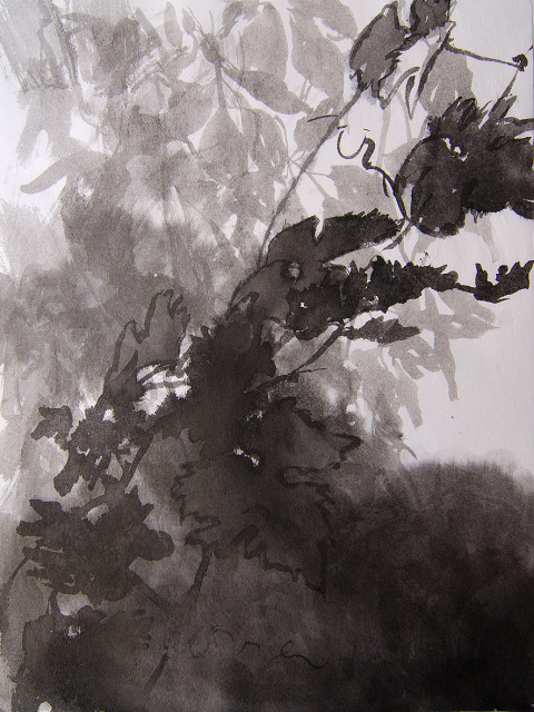 Anita Voigt: Vormittagssonne am Atelierfenster