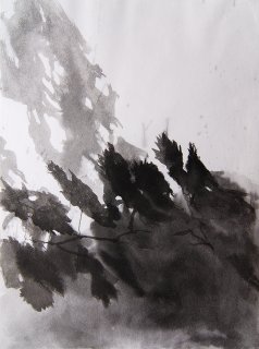 Herbstschatten, Anita Voigt