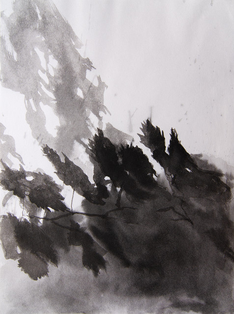 Anita Voigt: Herbstschatten