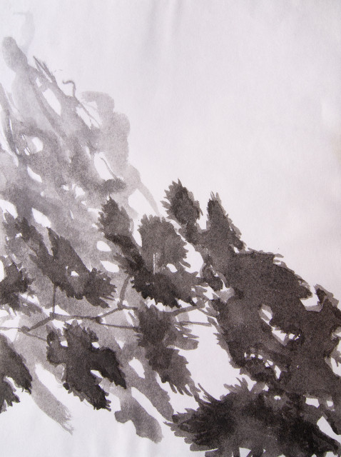 Anita Voigt: Der wilde Wein vor meinem Herbstfenster