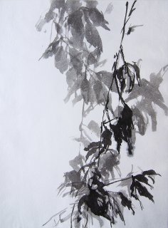 Rankender Wilder Wein, Herbstrot, Anita Voigt