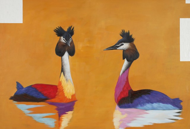 PODICEPS CRISTATUS, Albert Weber