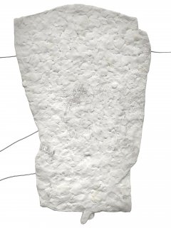 Rumpf, Friedrich Fröhlich