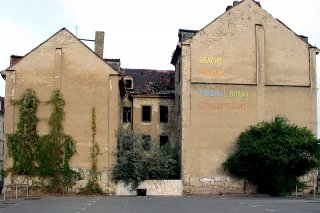 Pflanzenfassade City Brache Pflanzenfassade City Brache