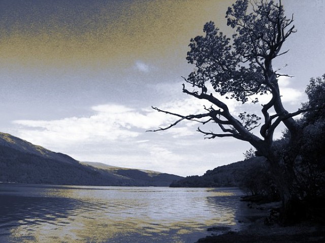Baum am See, Sascha Bernard