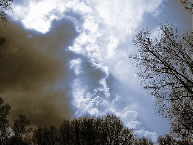 blaue Wolken, Sascha Bernard
