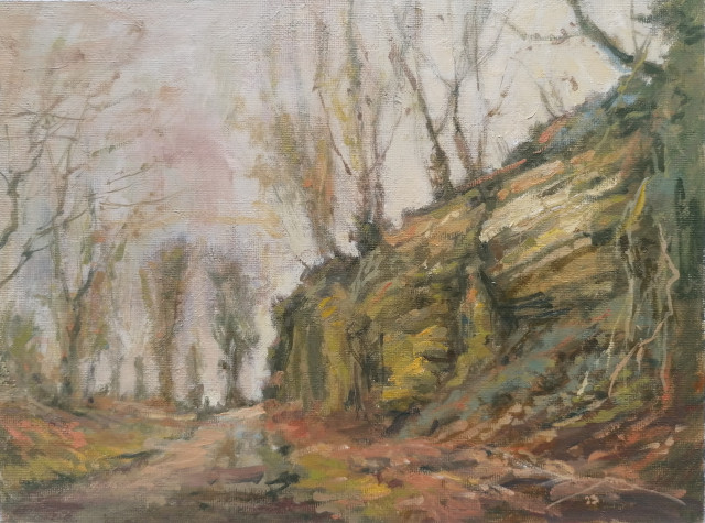 Felsen über Steinheim , Ralf Bechtel 