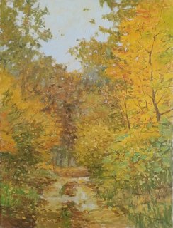 Herbstwald bei Birkholzaue , Ralf Bechtel 