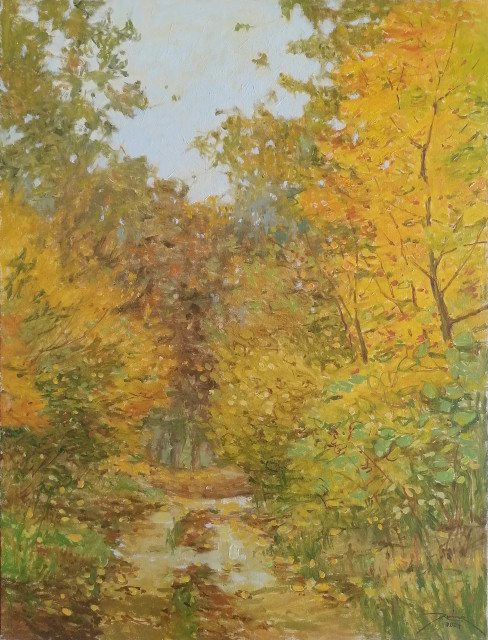 Herbstwald bei Birkholzaue , Ralf Bechtel 