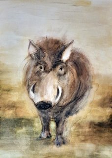 Das Warzenschwein, Sylvia Gnatz