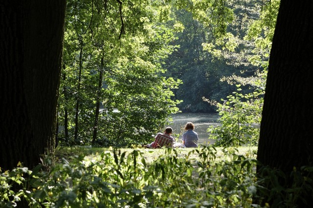 Verliebte im Park, Reiner Poser