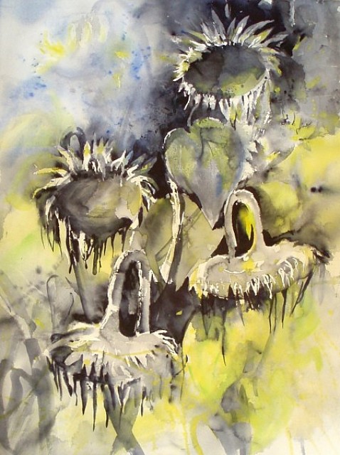 Sonnenblumen, Carmen Kroese