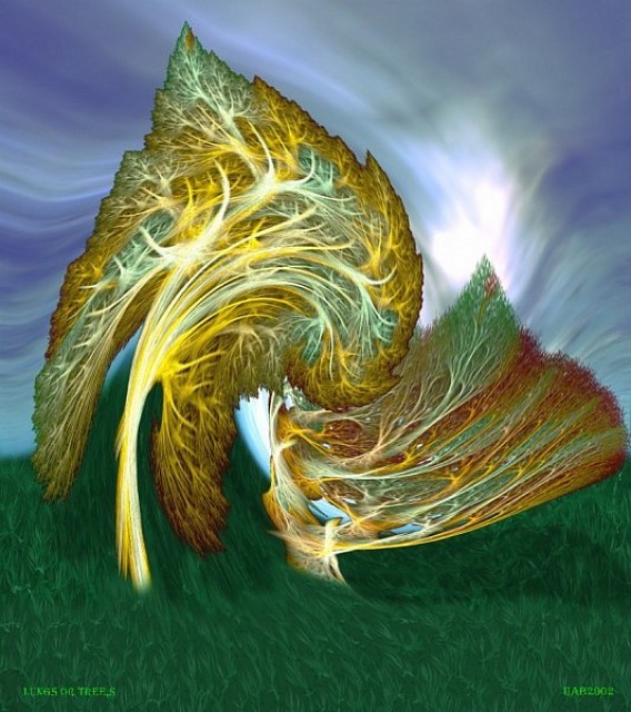 Lungs or trees, Hendrik Arie Baartman