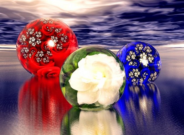 Punta Gorda beach flowers, Hendrik Arie Baartman