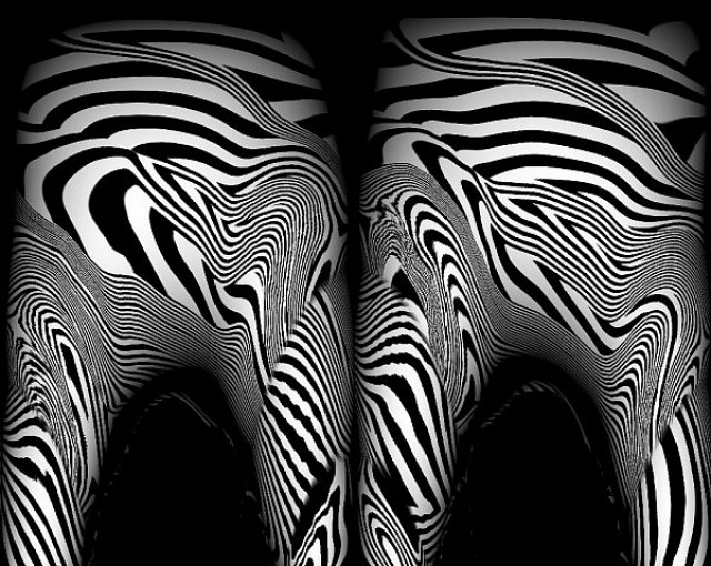 Grafimathematical zebraas, Hendrik Arie Baartman