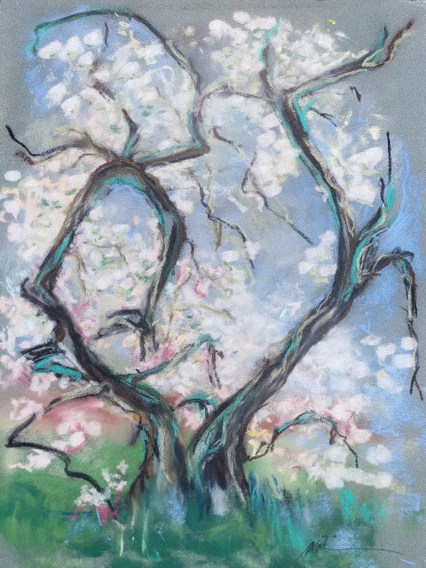 Kirschblüte, Monika Riemenschneider