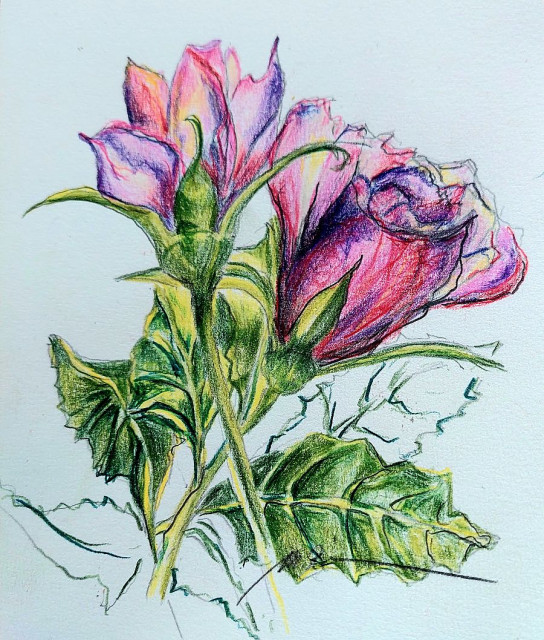 Rose, Monika Riemenschneider