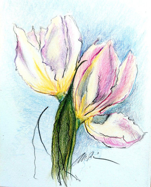Tulpenstrauß, Monika Riemenschneider
