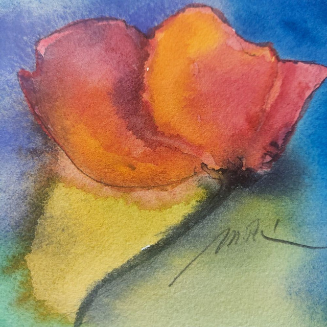 Mohnblüte, Monika Riemenschneider