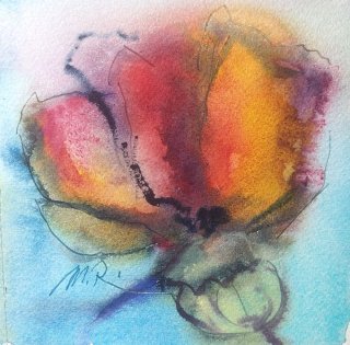 Mohnblüte, Monika Riemenschneider