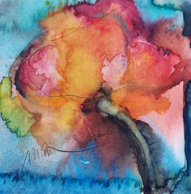 Mohnblüte, Monika Riemenschneider