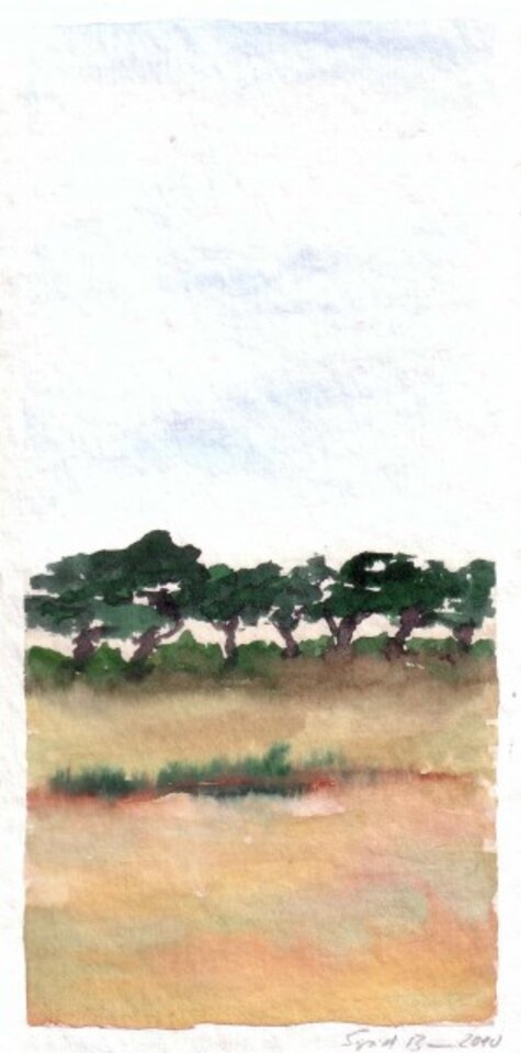 ALGARVESOMMER