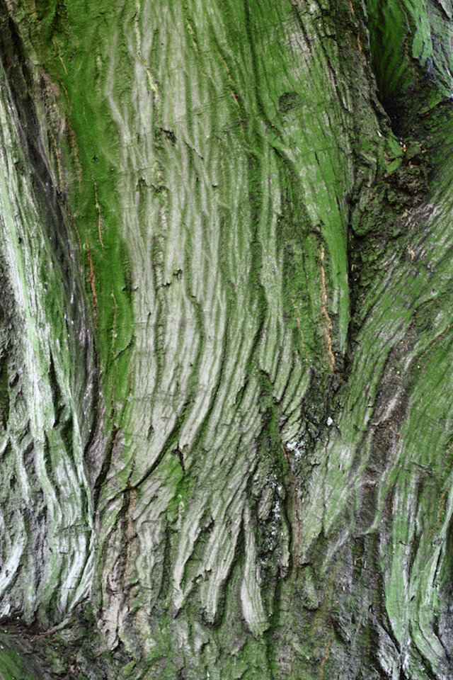 Ben Gowertt 'Stammwerke'