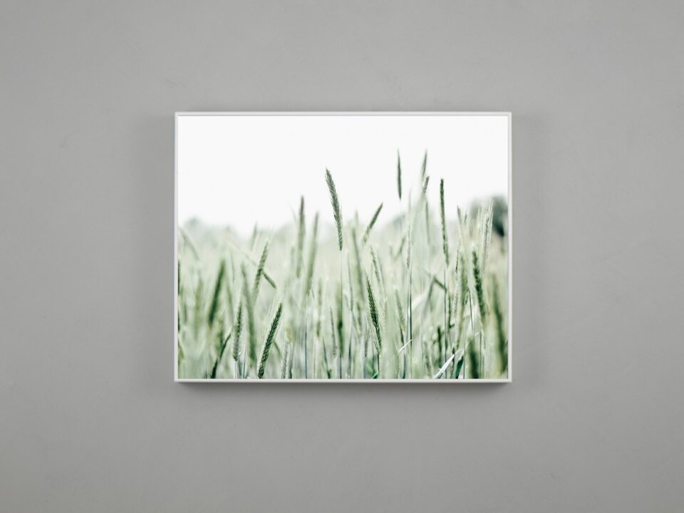 Fotoausstellung „emotionen für zuhause“