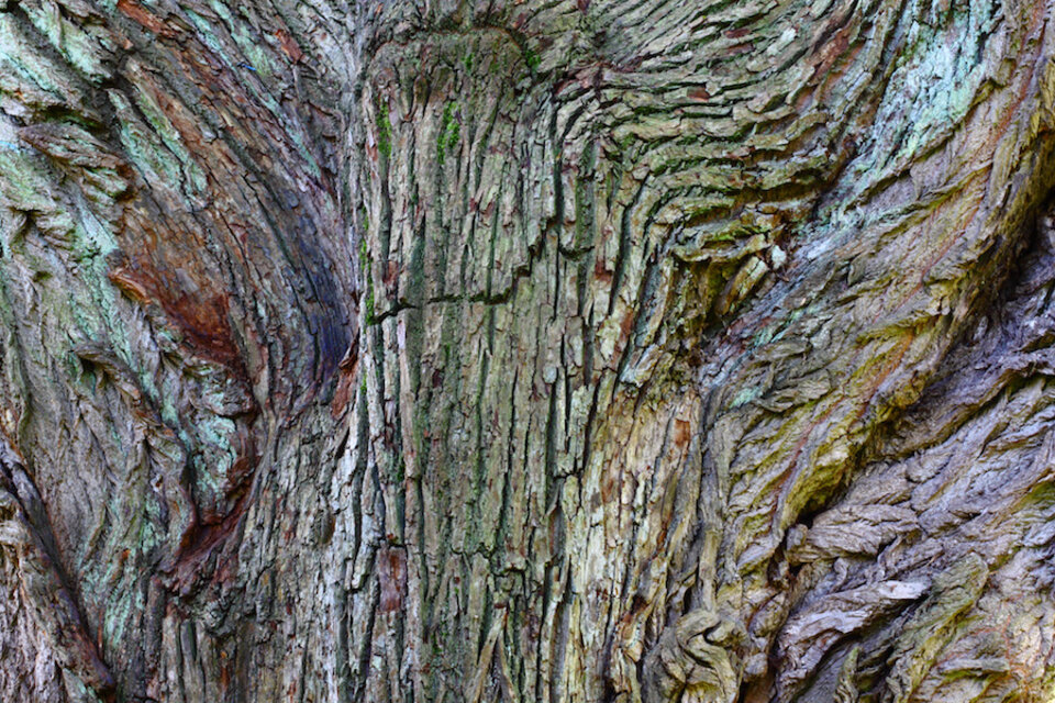 Fotoausstellung von Ben Gowertt