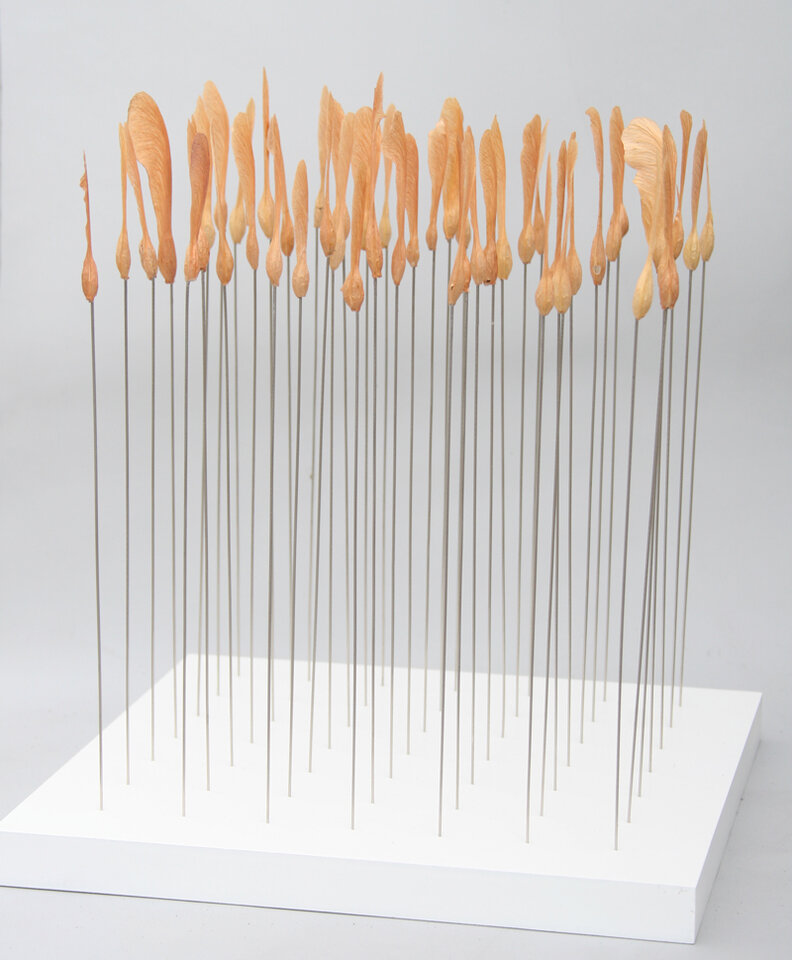 Marler Kunststern 2013 