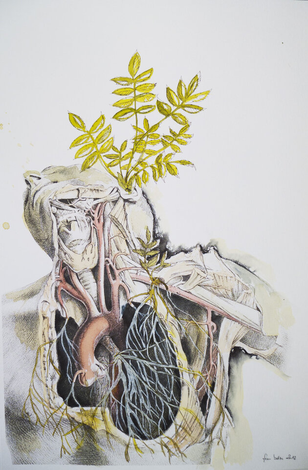 vivere et vivere sinere, Alexandra Bolzer