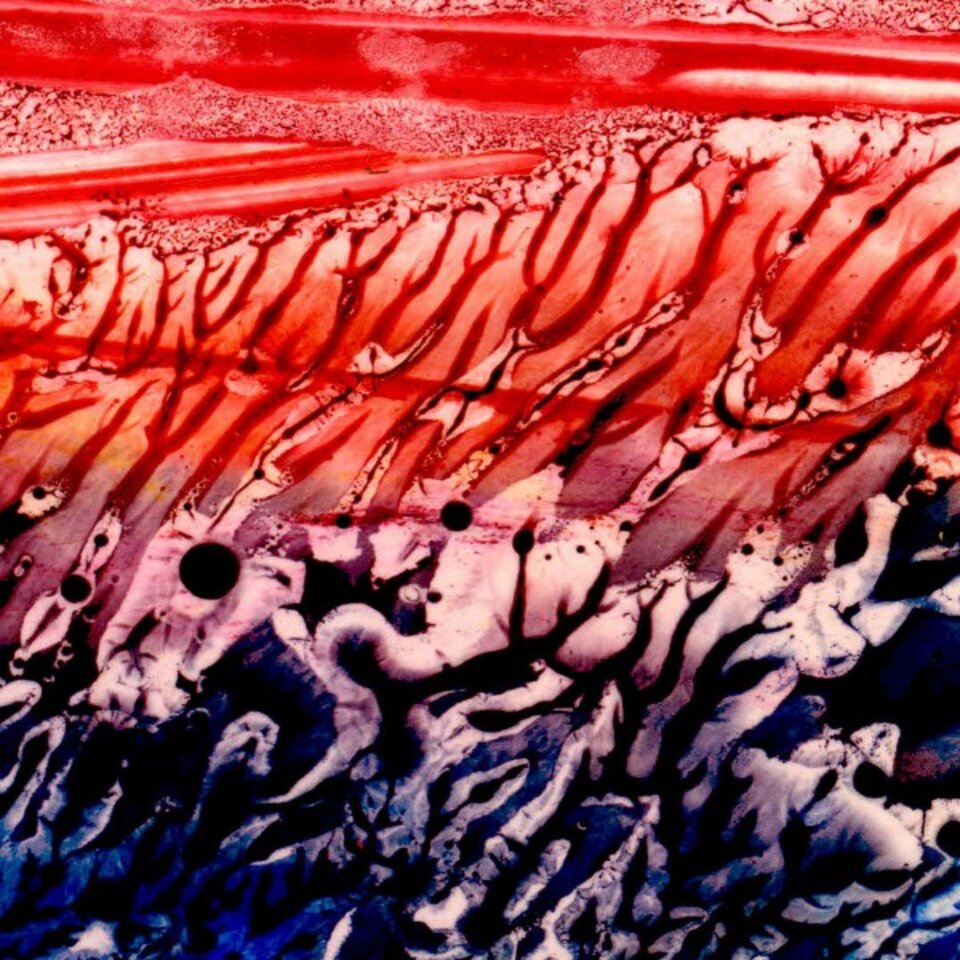 ohne Titel 29984, Druck auf Karton, José S. Ocón