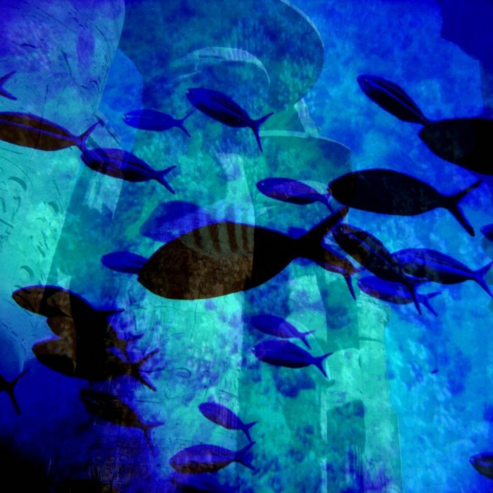 Folgen der Klimaveränderung 32159, Digitalkunst auf Karton, José S. Ocón